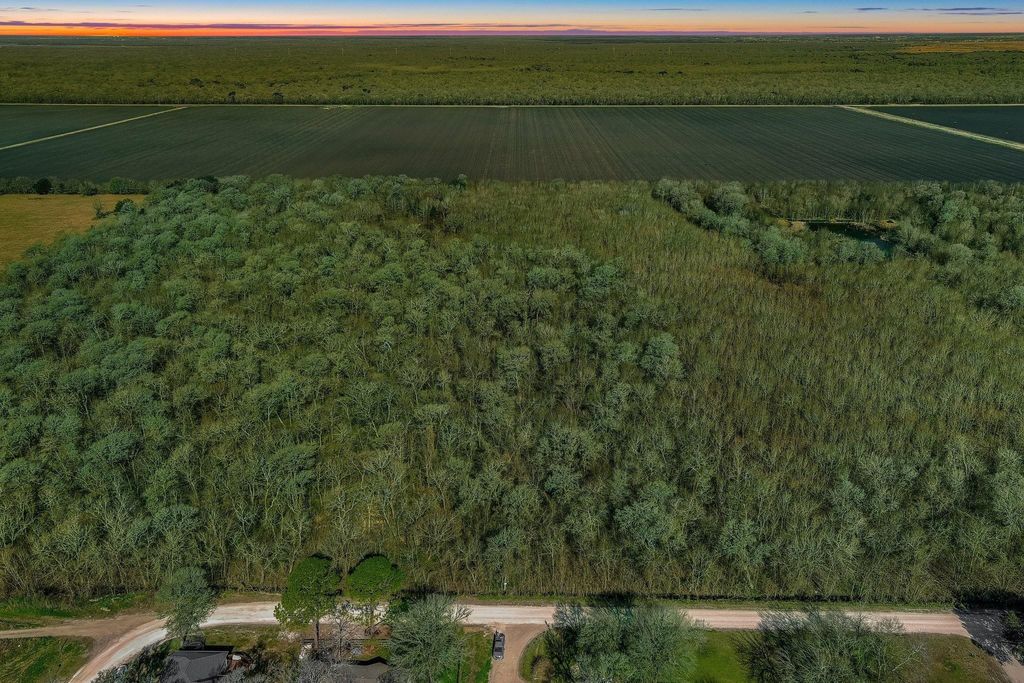 Photo of TBD Tr 19e2a Cr647, Guy, TX 77444 (MLS # 28115309)