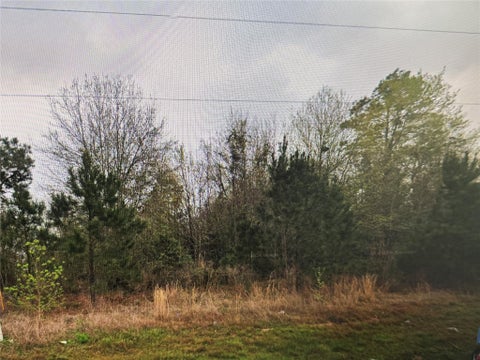 Photo of 3157 County Road 3550, Cleveland, TX 77327 (MLS # 80239343)