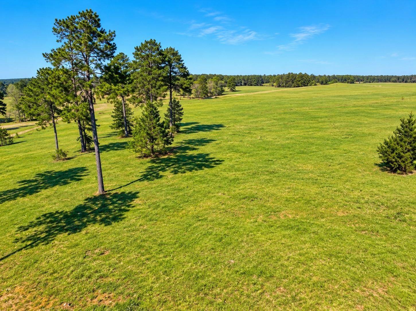 Lot 85 Lakeland Loop