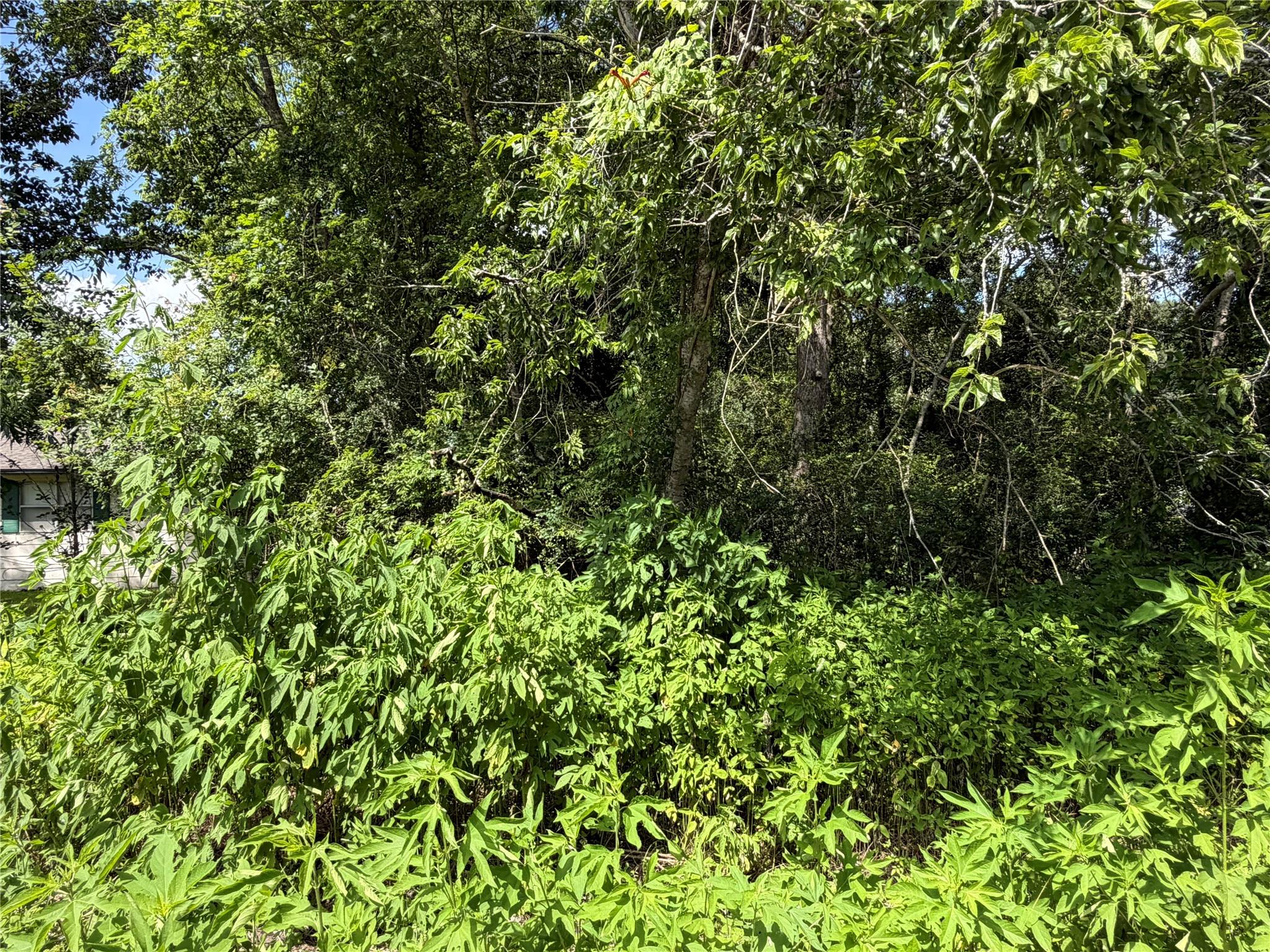 Lot 97 Lost Forest Drive