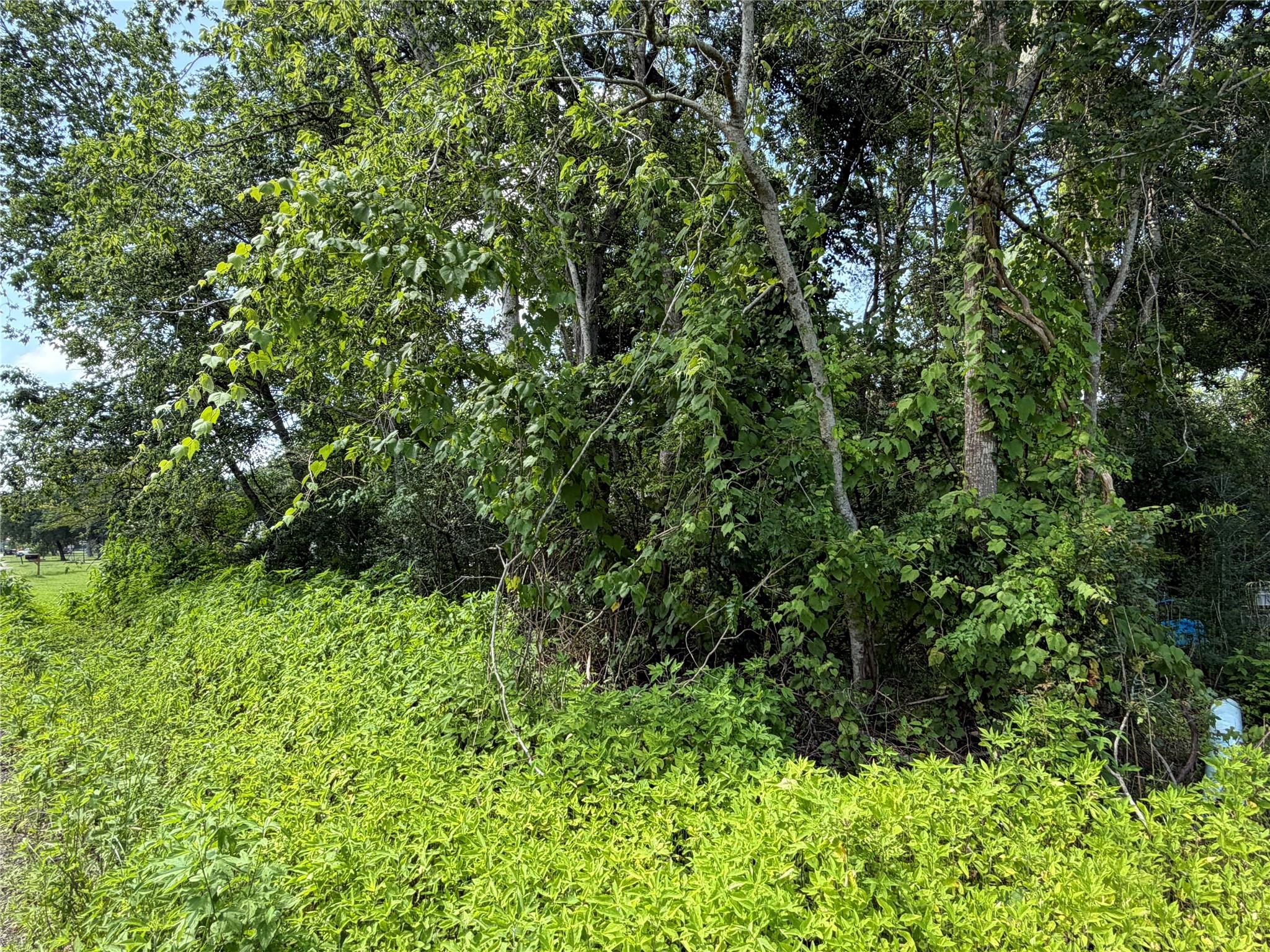 Lot 97 Lost Forest Drive