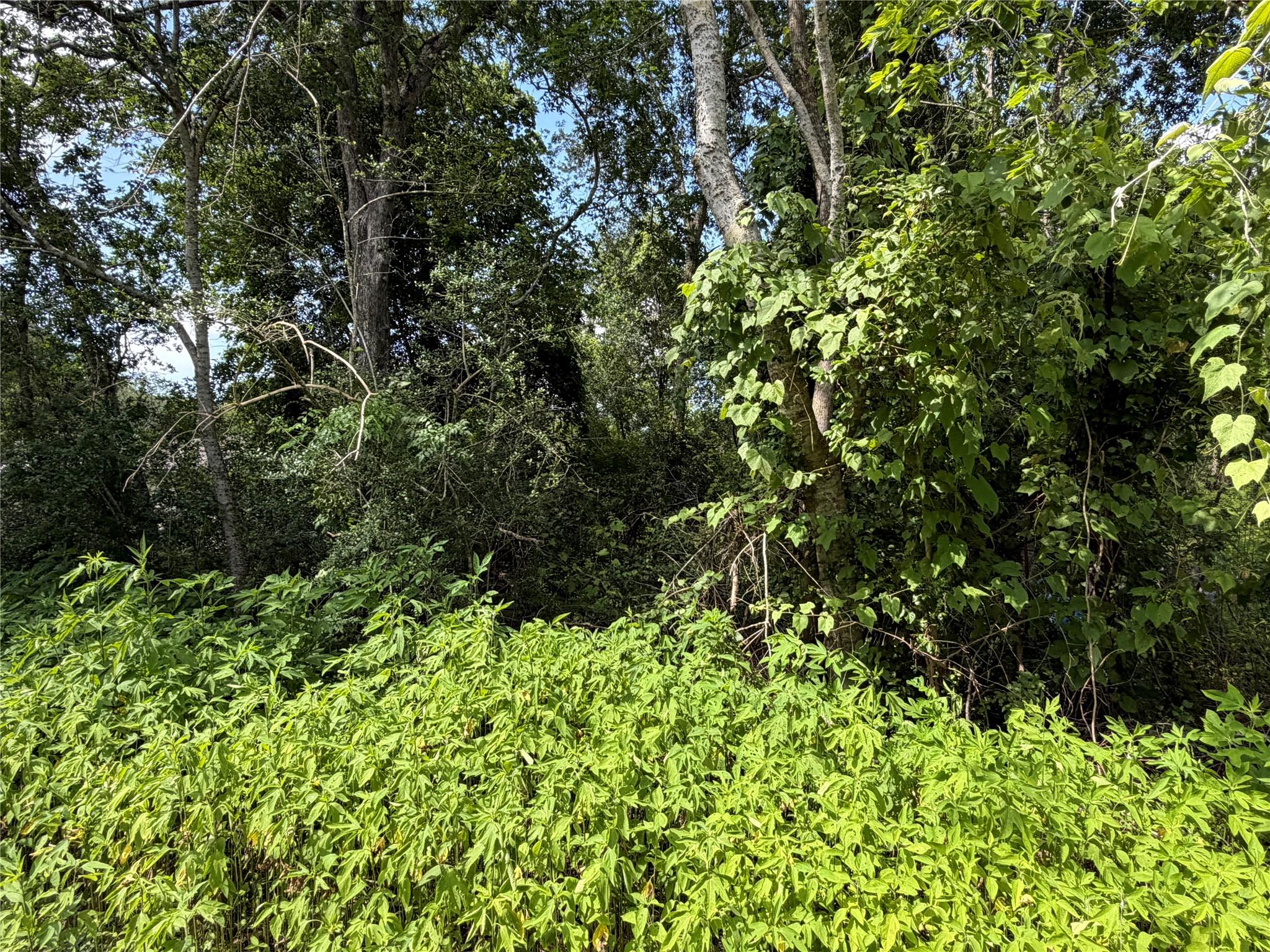 Lot 97 Lost Forest Drive