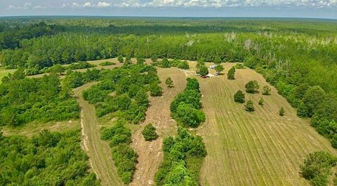 Vacant Land For Sale - 81363 George Sanner Rd Road<br/> Village Mills, TX 77663