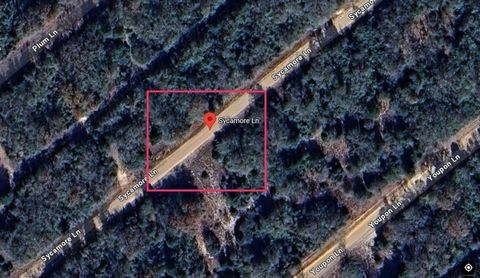 Photo of 0 Sycamore Lane, Normangee, TX 77871 (MLS # 44758847)