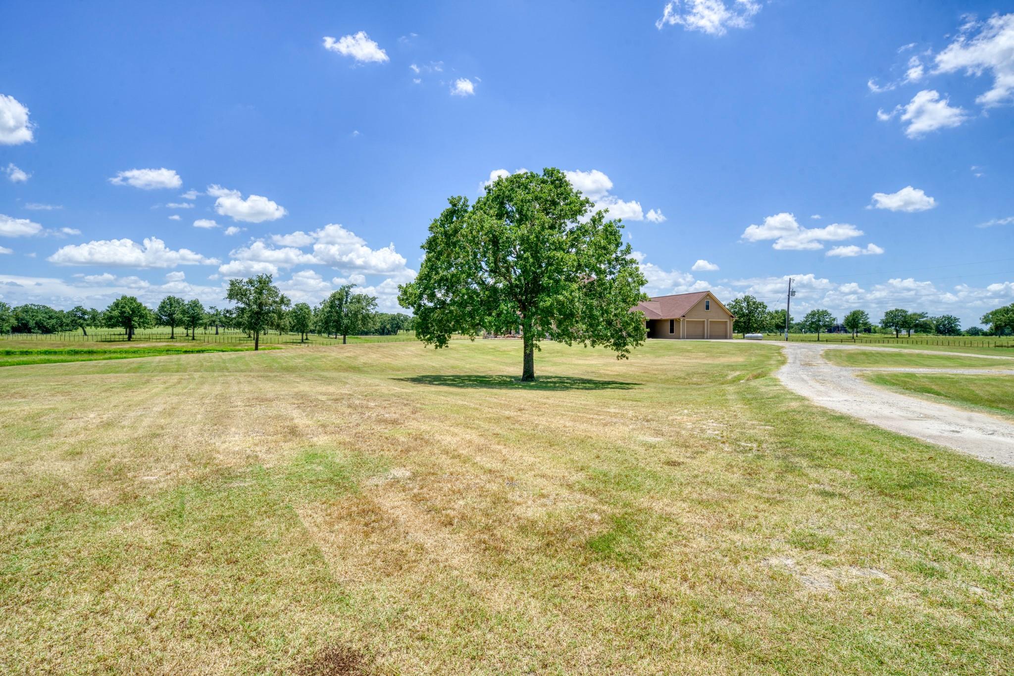 16316 County Road 436