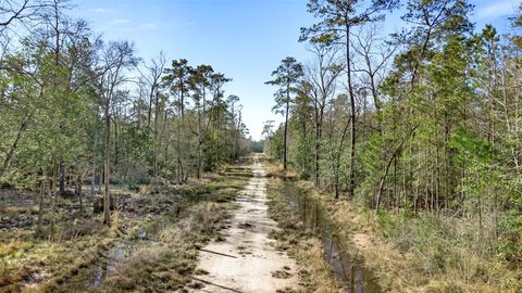Vacant Land For Sale - 12310 Picos Road<br/> Hardin County, Saratoga, TX 77585