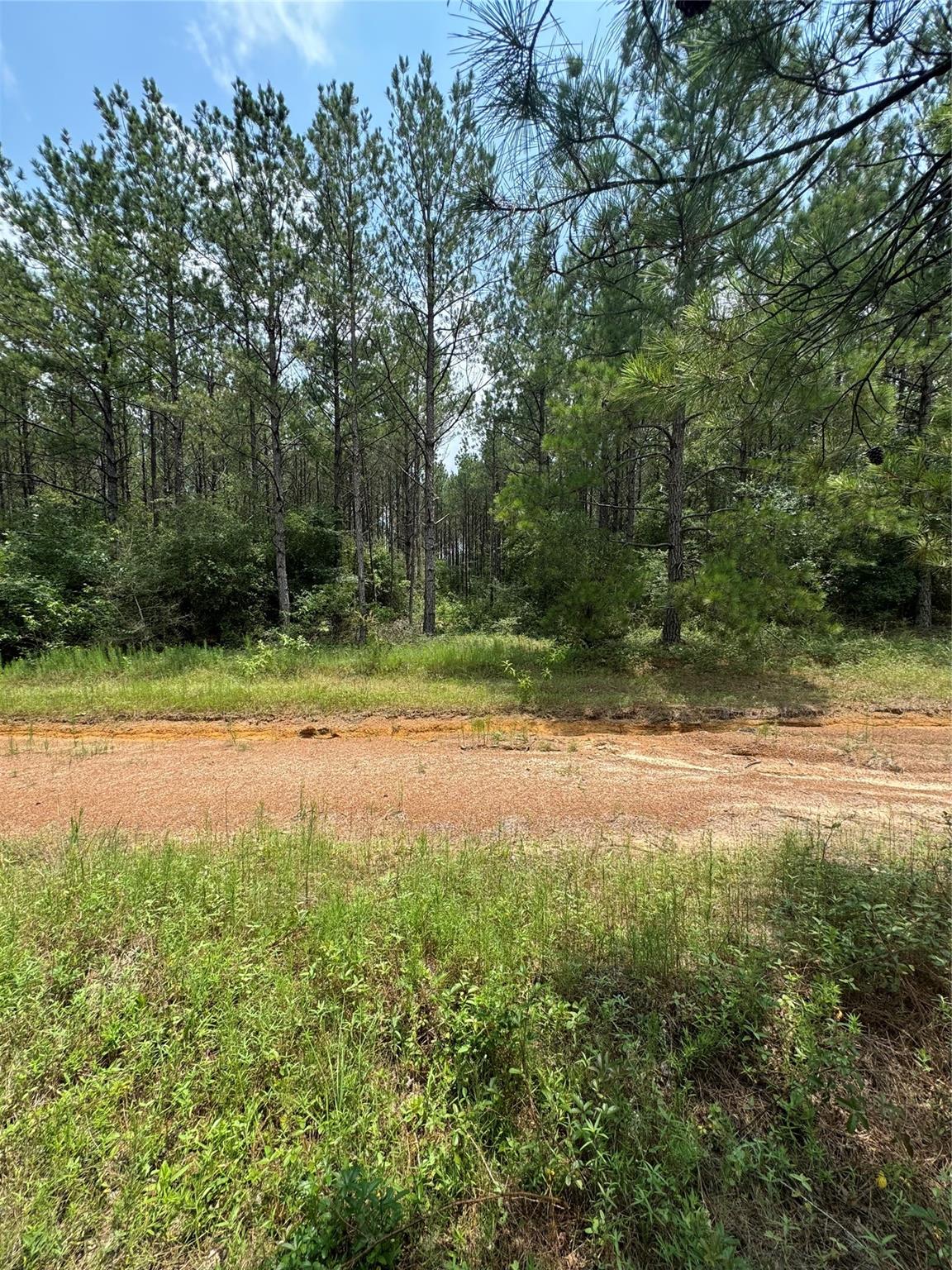 10634 Forest Mill Road