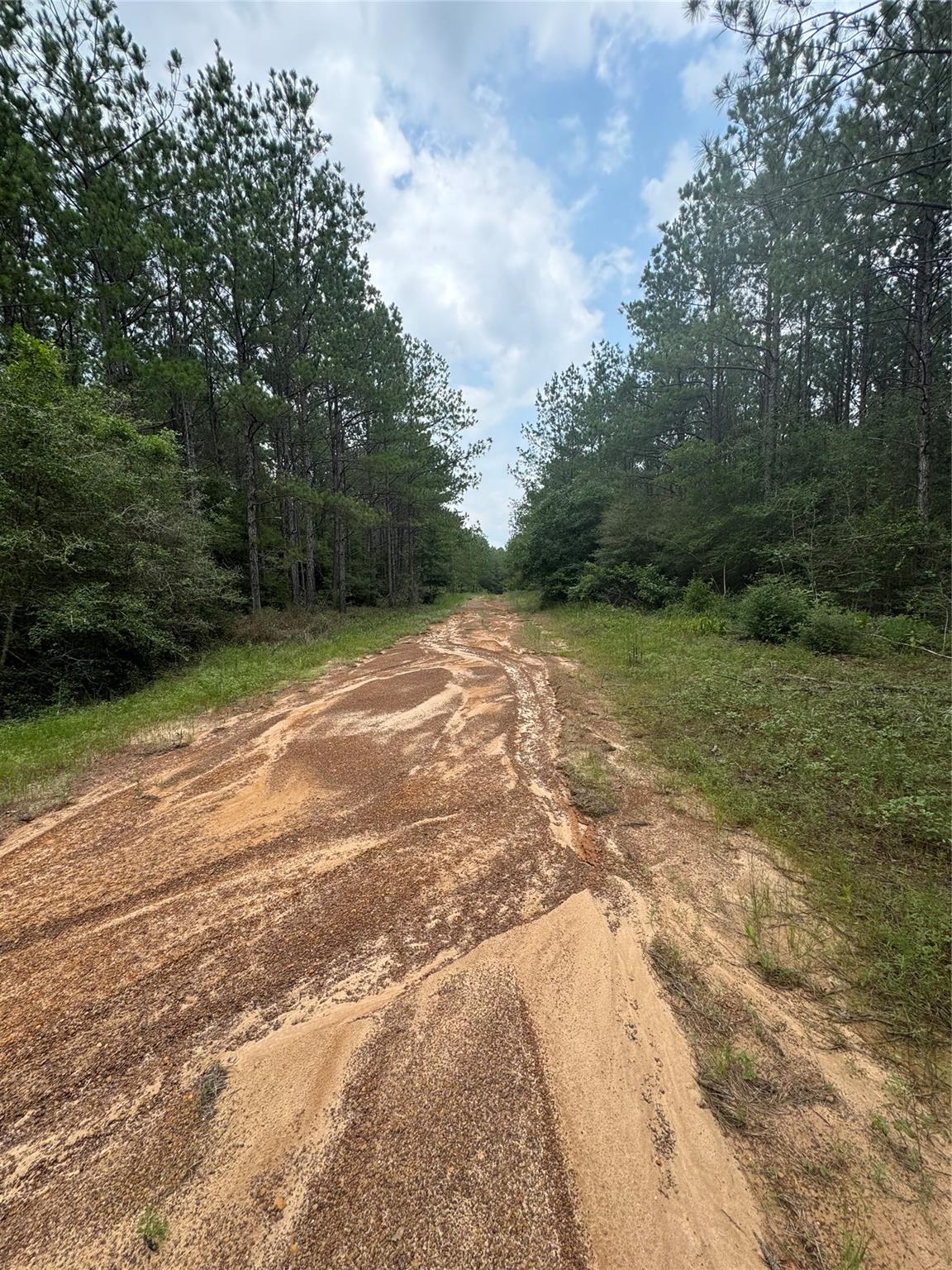 10634 Forest Mill Road