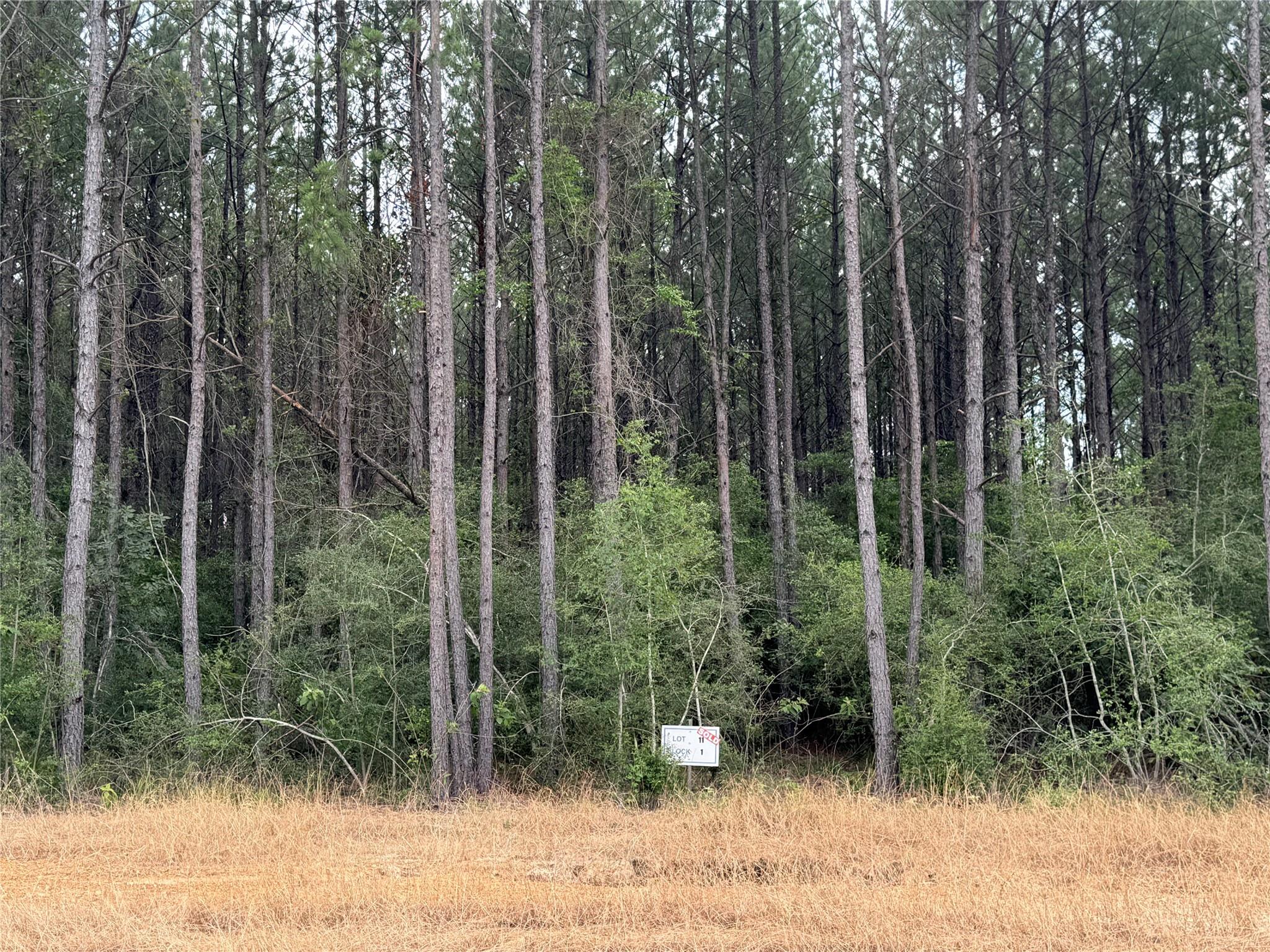 10634 Forest Mill Road