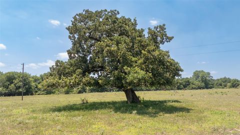 Tiny photo for 9163 N Fm 46, Franklin, TX 77856 (MLS # 18451433)
