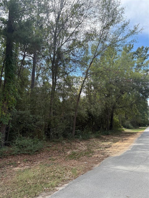 Photo of TBD Sequoia Lane, Onalaska, TX 77360 (MLS # 24280916)