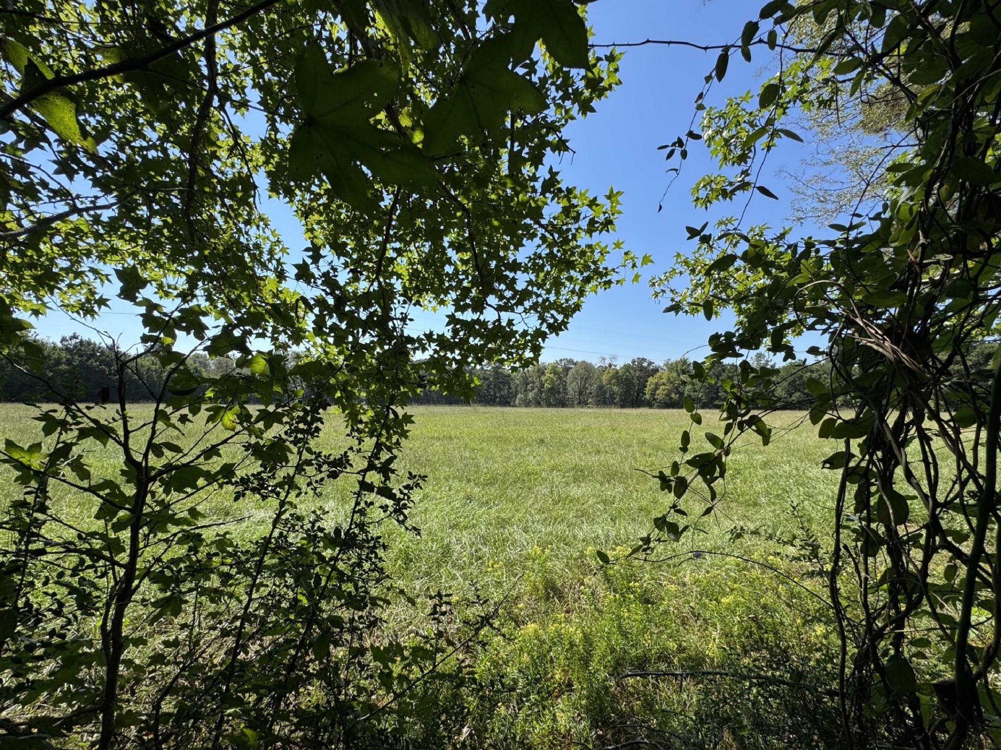 TBD County Road 3550