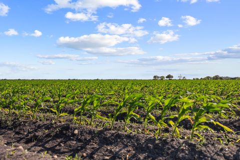 Photo of 5629 Us-59 S, Edna, TX 77957 (MLS # 54845657)