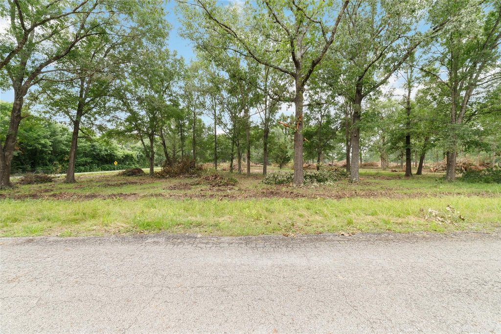 Photo of TBD Henson, Montgomery, TX 77356 (MLS # 61848154)