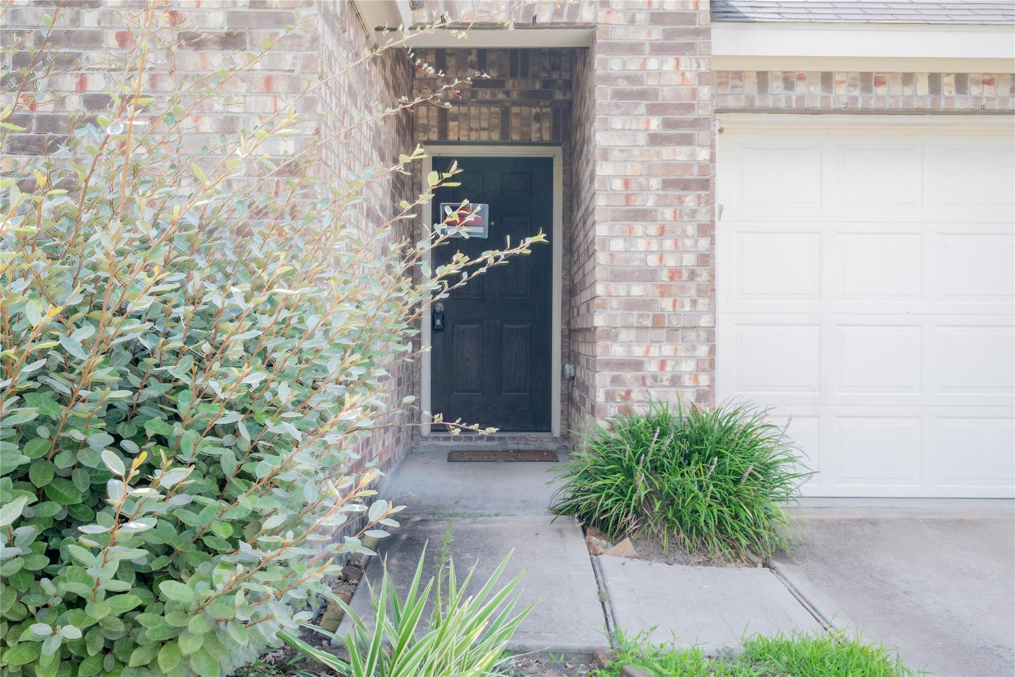 2524 Bryan Park Lane