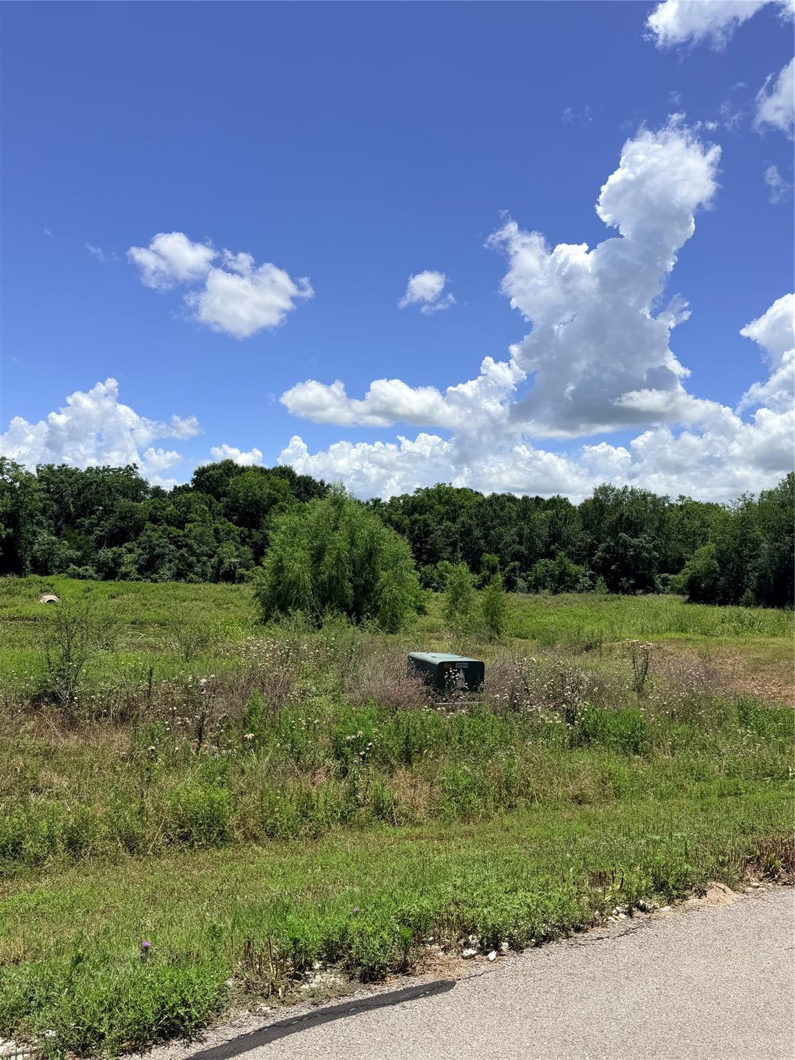 Lot 36 Winding Branch