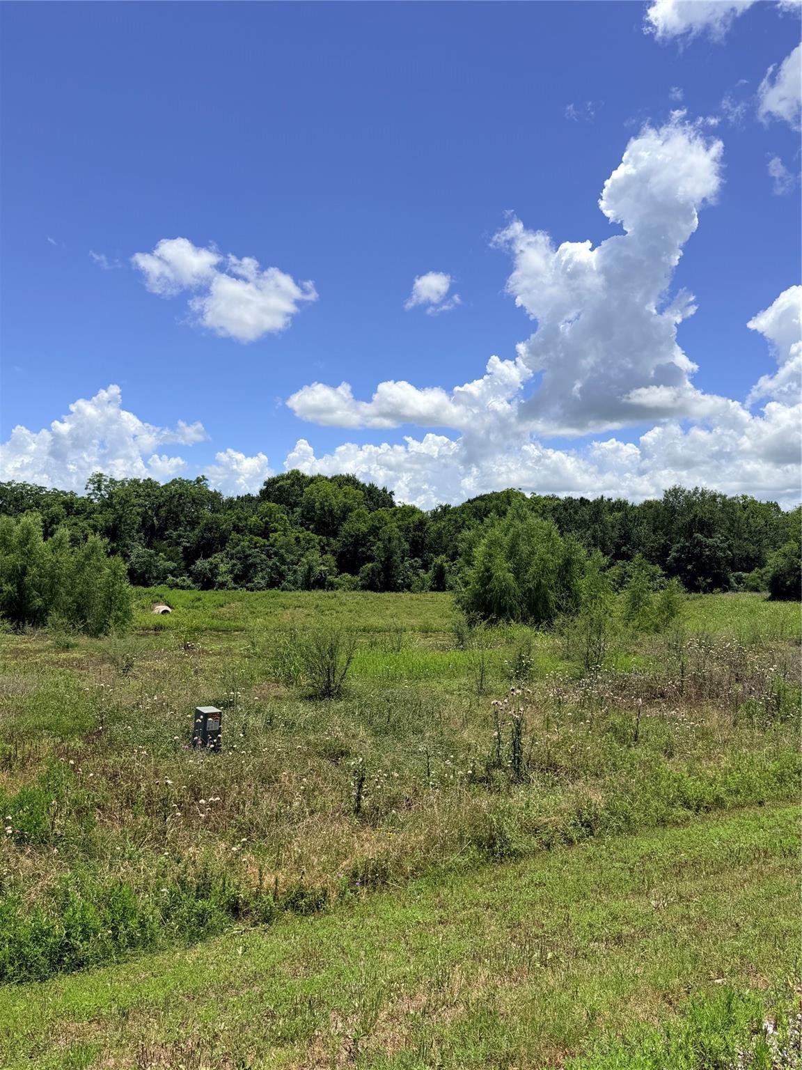 Lot 36 Winding Branch