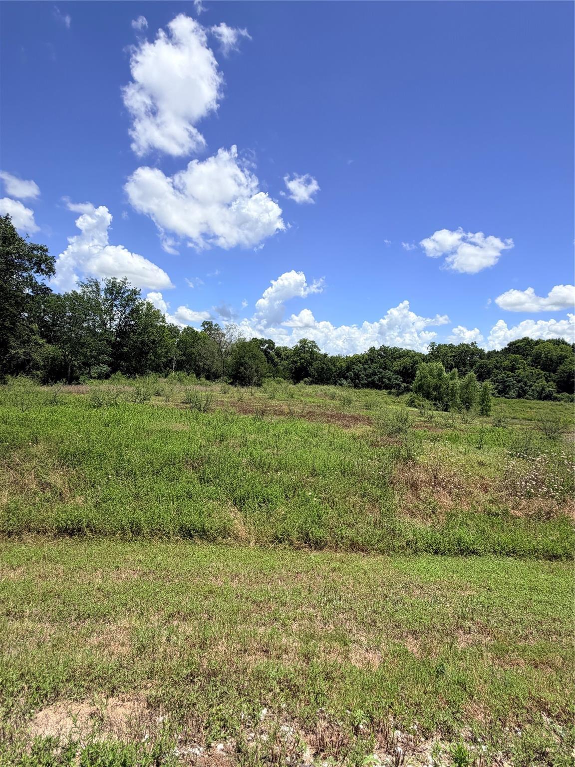 Lot 36 Winding Branch