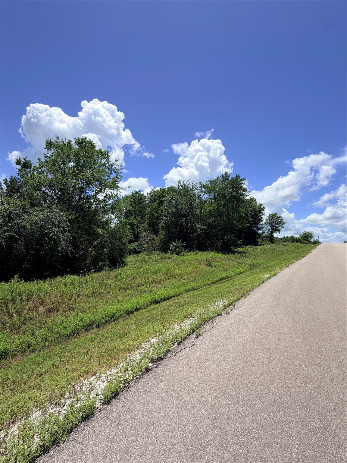 Lot 36 Winding Branch