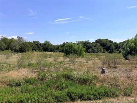 Photo of 36 Winding Branch, Chappell Hill, TX 77426 (MLS # 16517710)