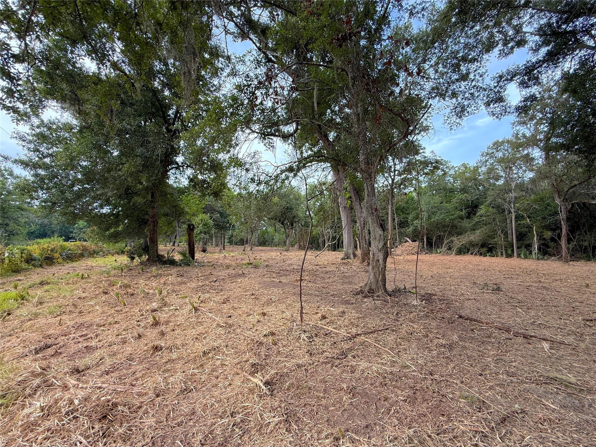 Lot 12A2 Cr 345