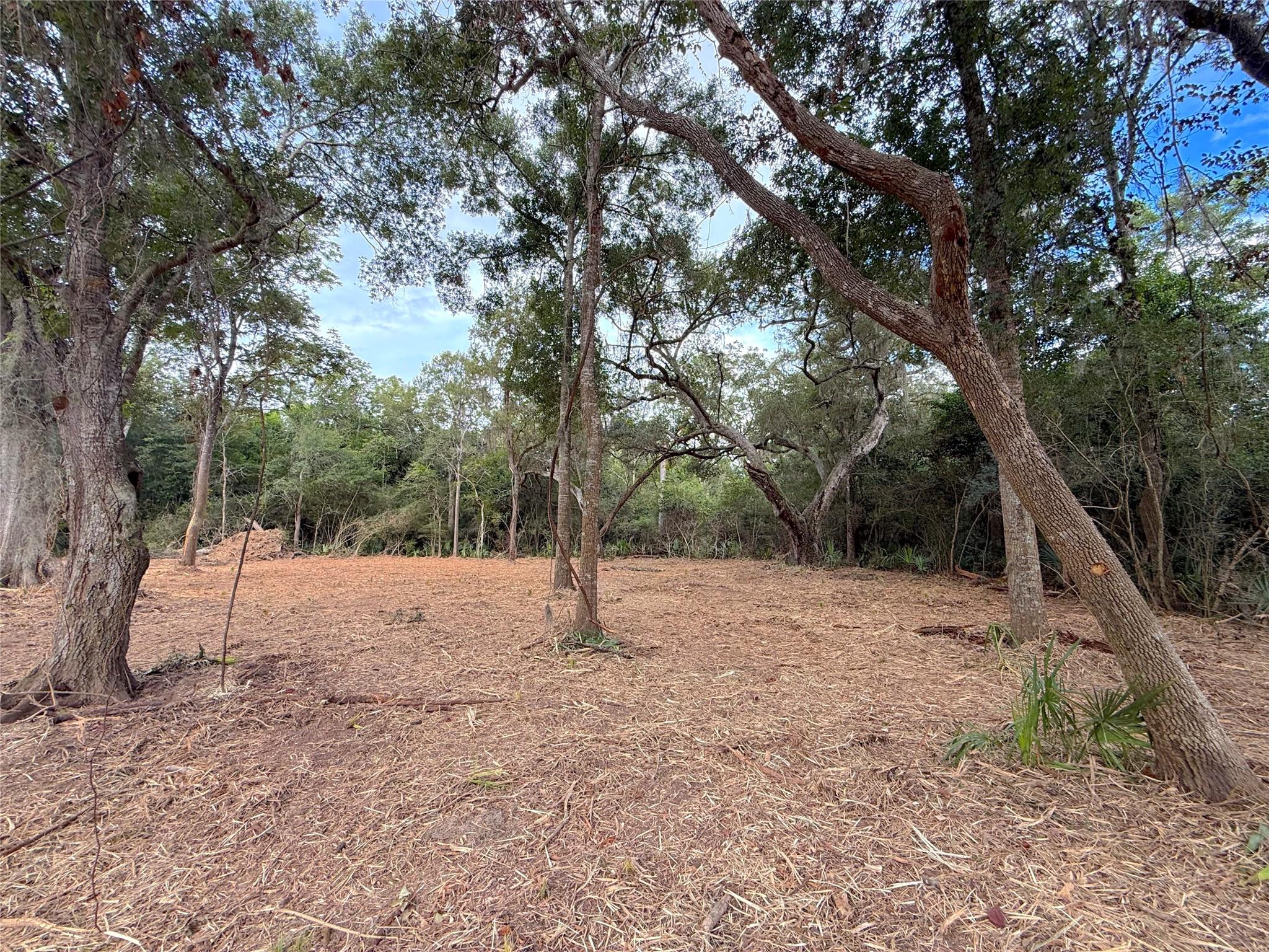 Lot 12A2 Cr 345