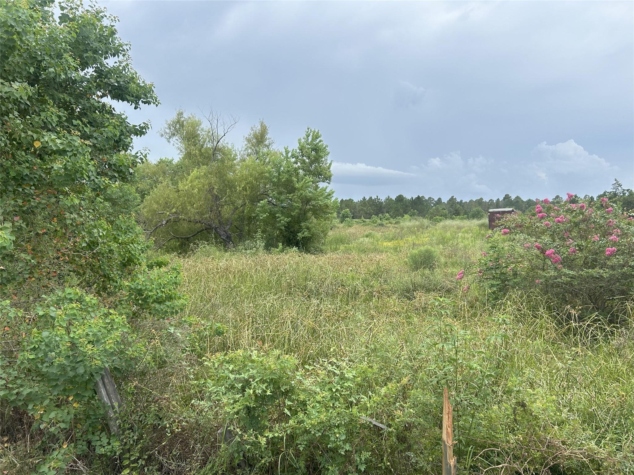 29913 Waller Spring Creek Road