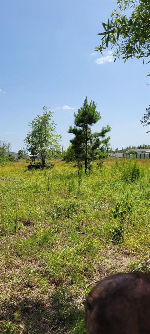 Vacant Land For Sale - 2411 Road 5100<br/> Cleveland, TX 77327