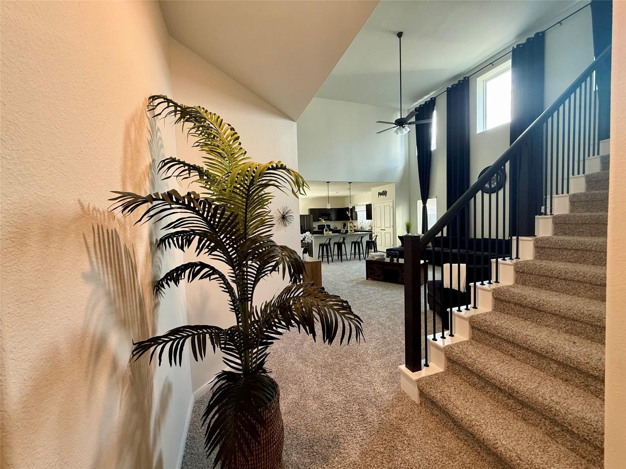 527 Baobab Way
