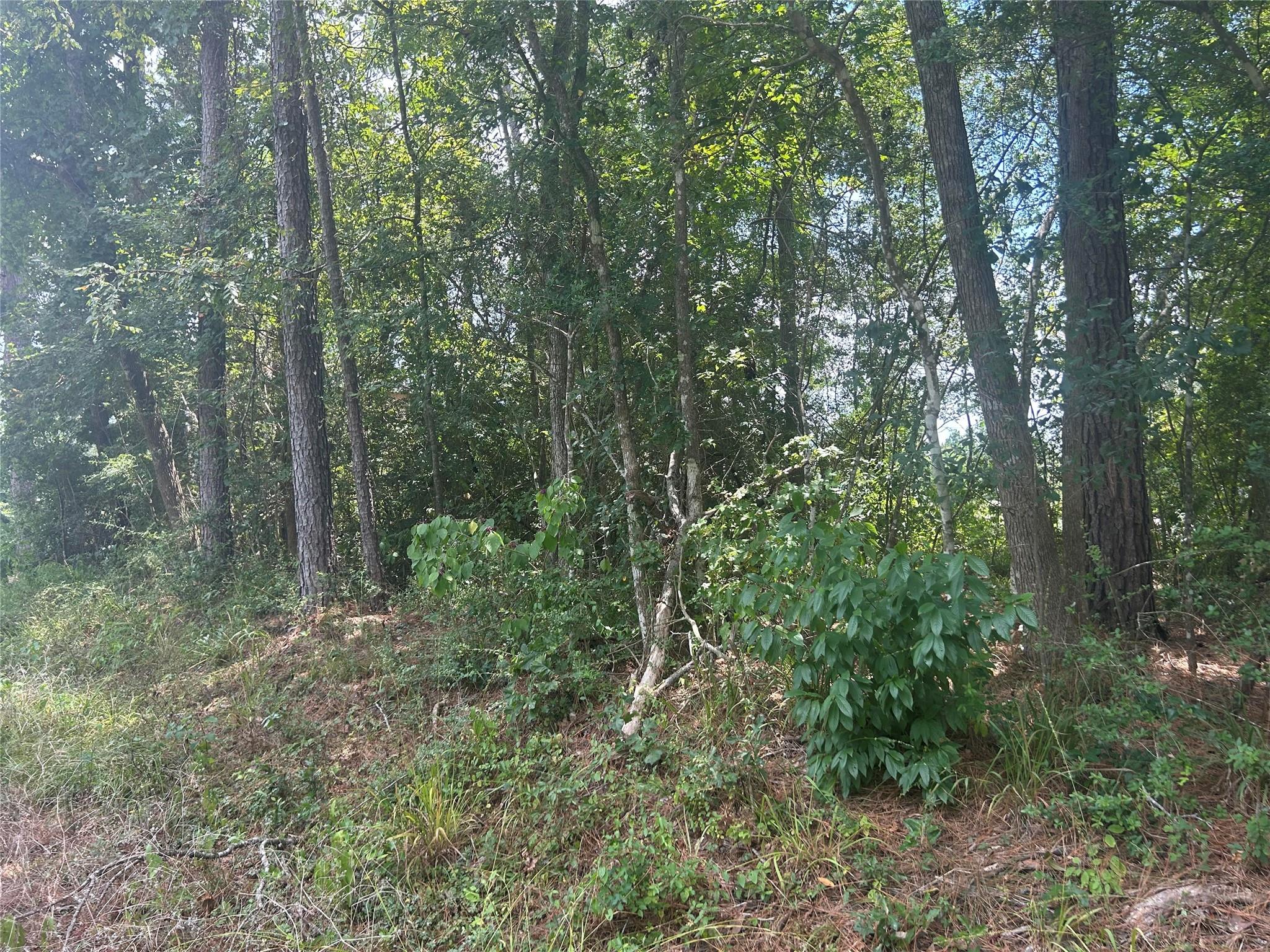 0 Cottonwood