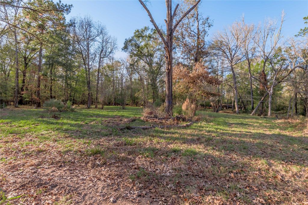 Photo of 438 Cody Rd, Groveton, TX 75845 (MLS # 13220054)