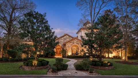 14 Maymont Way The Woodlands TX 77382