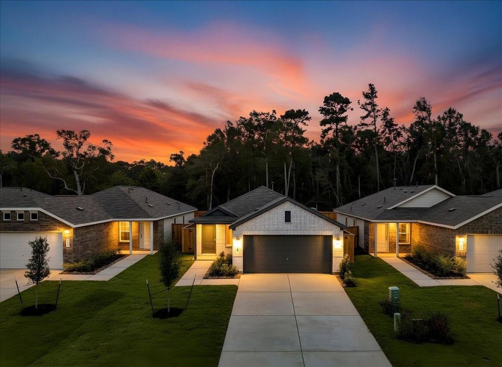 Photo of 20931 San Felice Lane, New Caney, TX 77357 (MLS # 14935829)