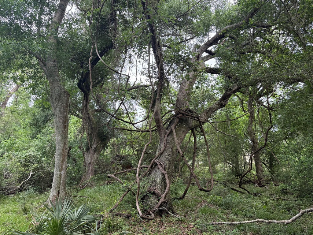 Photo of 6827 Bryan Road, Jones Creek, TX 77541 (MLS # 43987599)