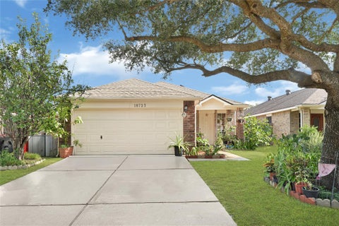 Homes For Sale - 18723 Driftwood Springs Drive<br/> Katy, TX 77449