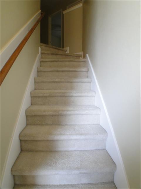 2826 Orchid Tree Lane
