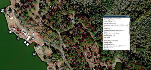 502 Lakeshore Point Livingston TX 77351