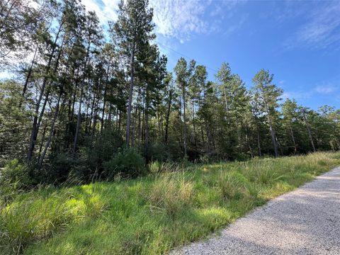 Photo of 59 Stagecoach Circle, Huntsville, TX 77340 (MLS # 54120981)