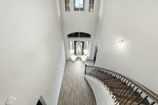 24714 Longwood Forest Drive