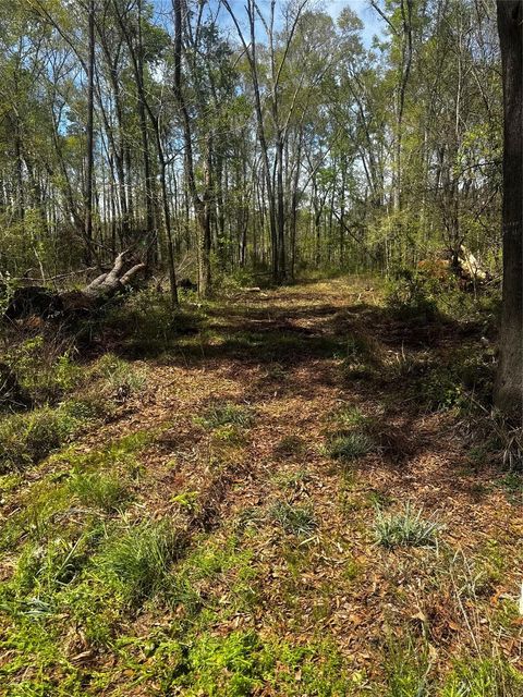 Photo of 0 Winter Creek, Cleveland, TX 77328 (MLS # 36770908)