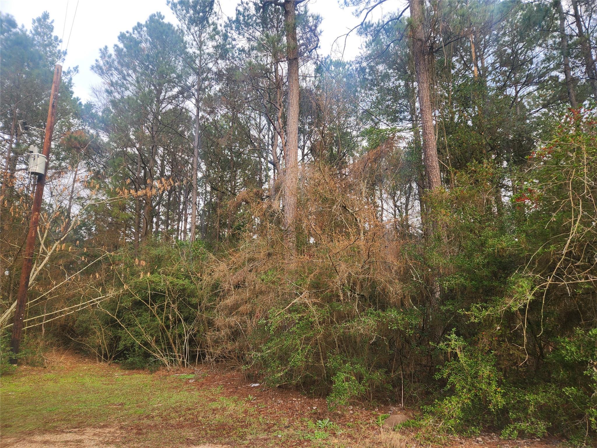 Lot 8 Soapberry Lane