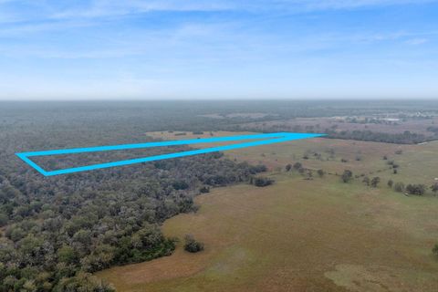 Photo of CR 123 - Tract 3, Bedias, TX 77831 (MLS # 66881753)