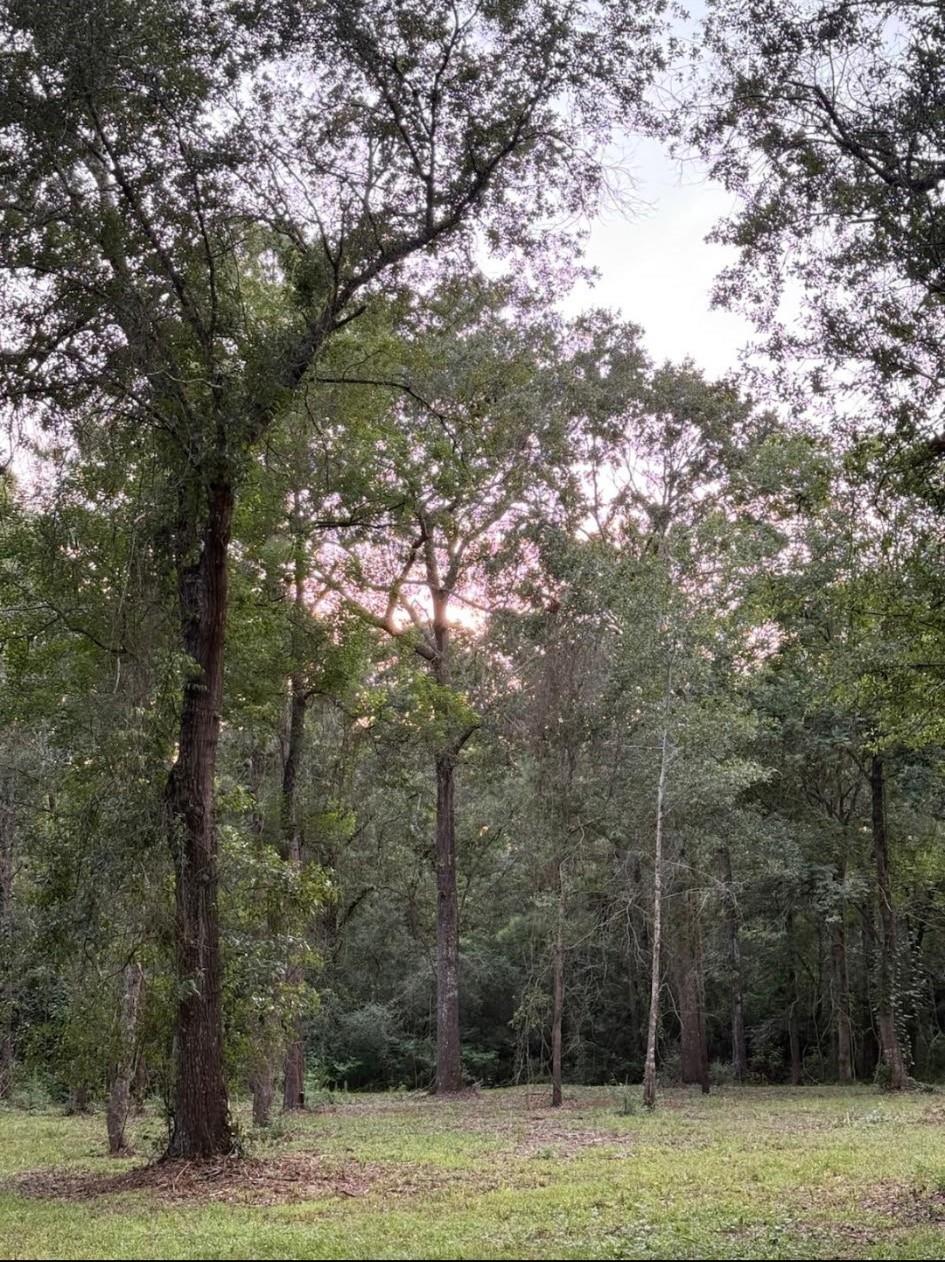 26164 Grand Pines Road