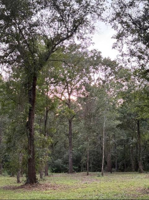 Vacant Land For Sale - 26164 Grand Pines Road<br/> Magnolia, TX 77355