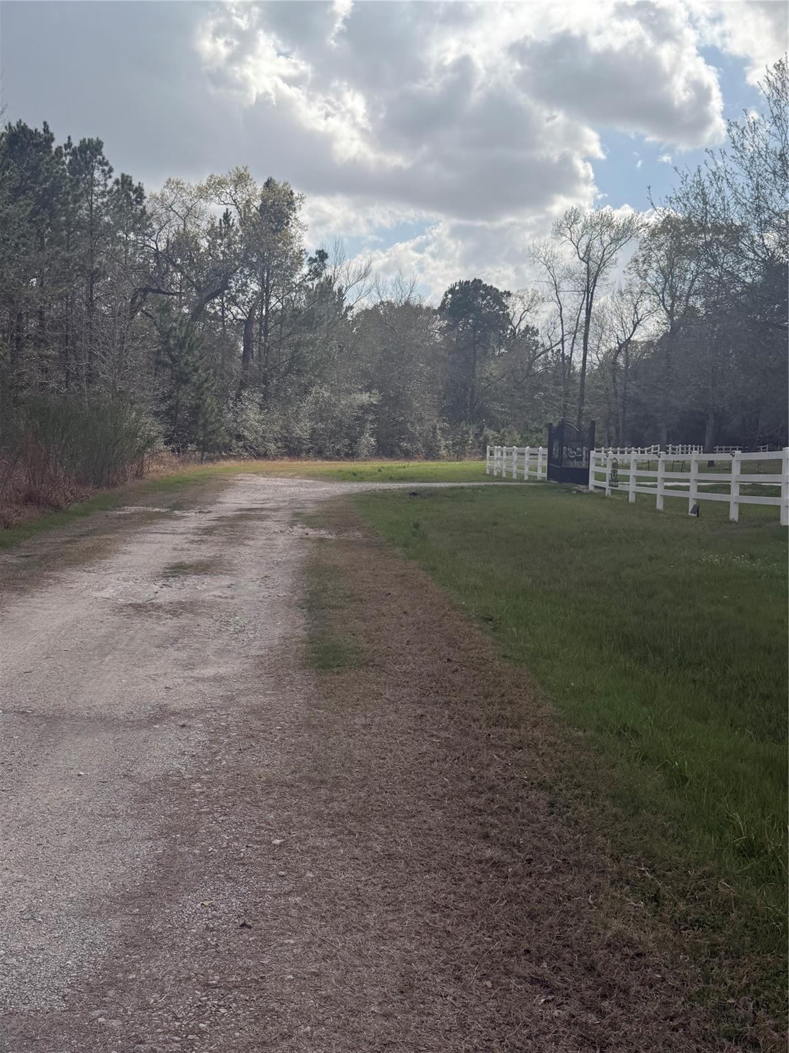 26164 Grand Pines Road