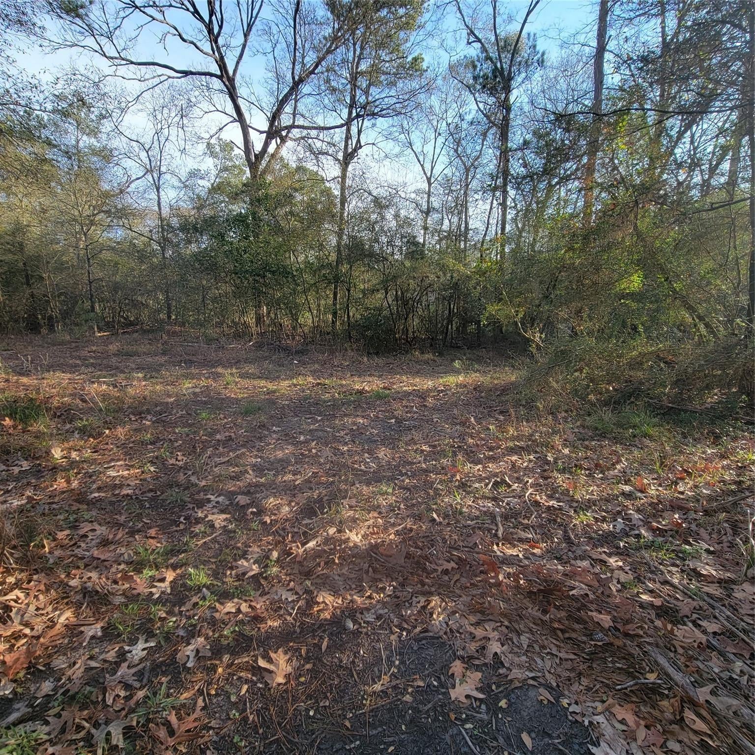 TBD Fenham Lane