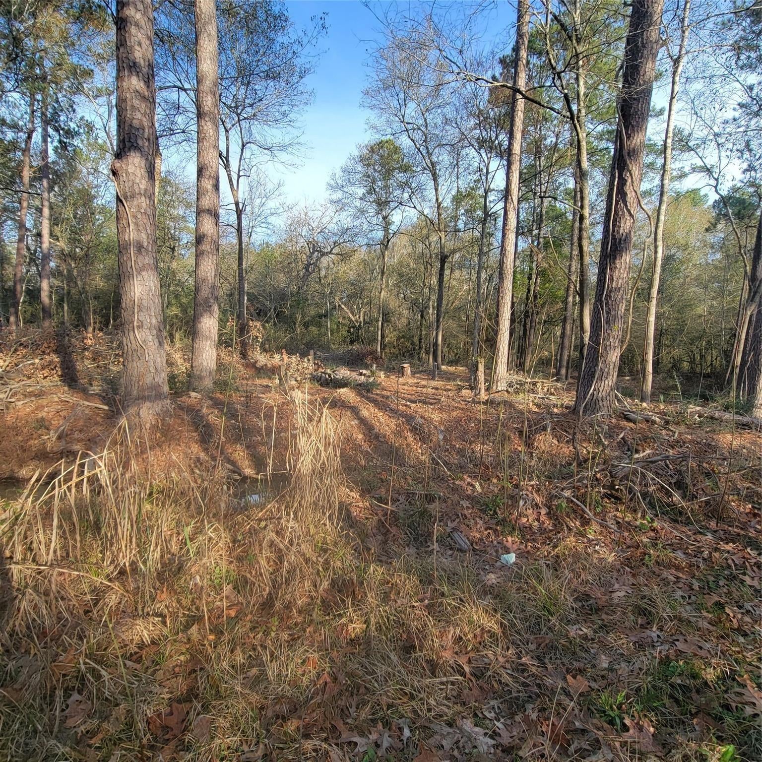 TBD Fenham Lane