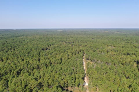 Photo of 2 Trinitylady Park Road, Trinity, TX 75862 (MLS # 62750960)