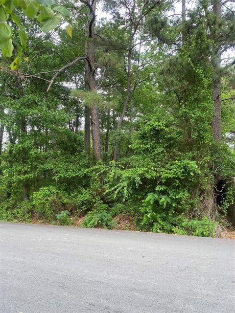 Photo of 706 Hayman Street, Huntsville, TX 77340 (MLS # 62162673)