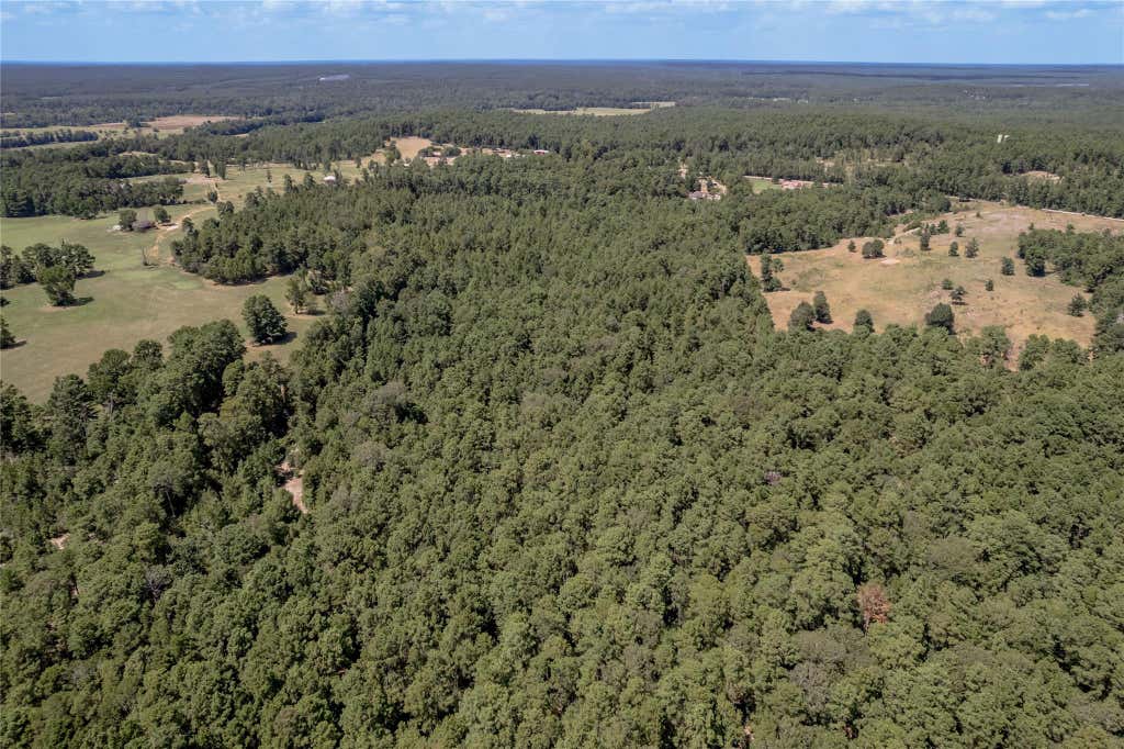 Photo of Na Fm 355, Trinity, TX 75862 (MLS # 40695697)